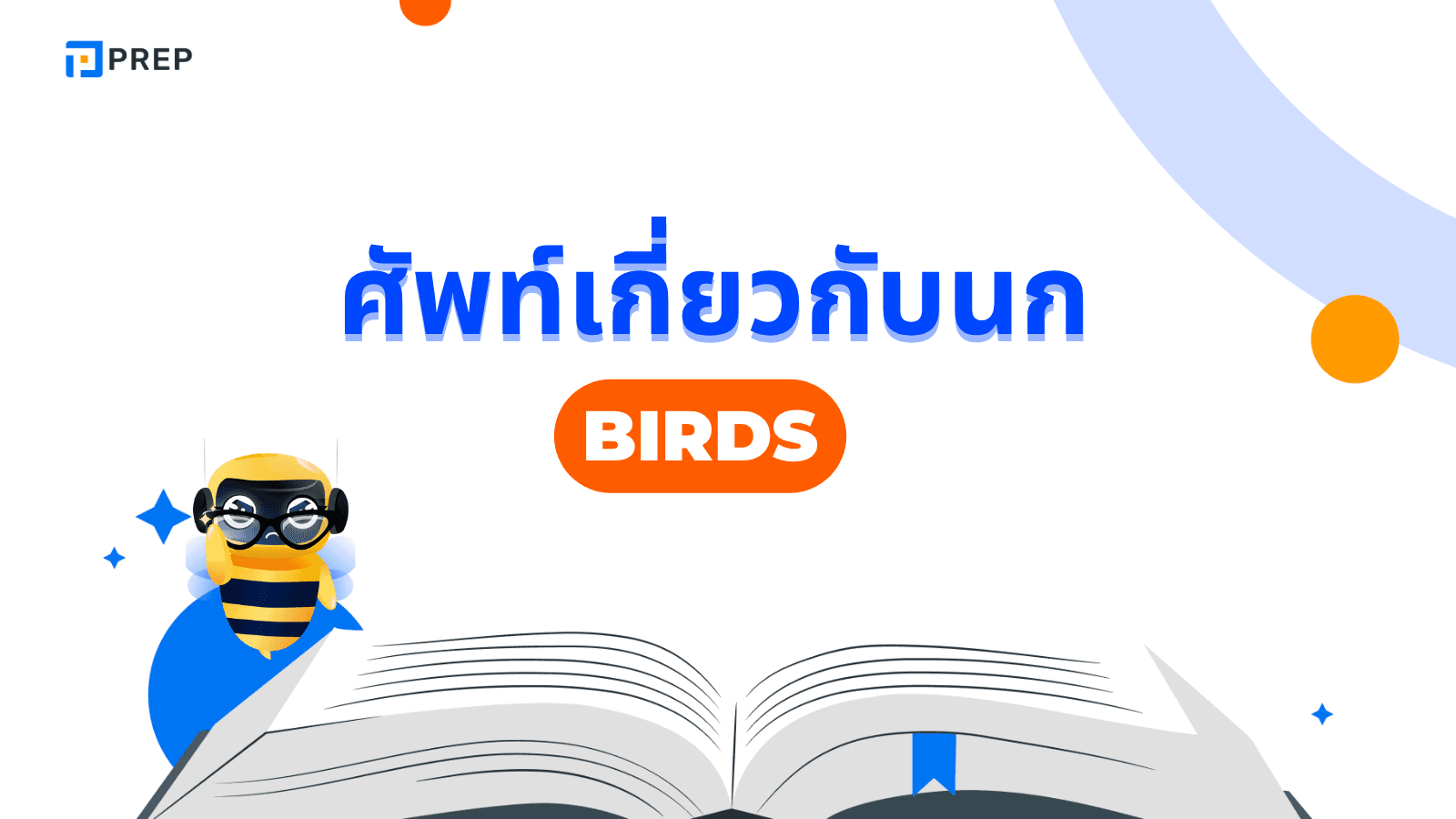 คำศัพท์ภาษาอังกฤษเกี่ยวกับนก พร้อมคำแปลและตัวอย่าง
