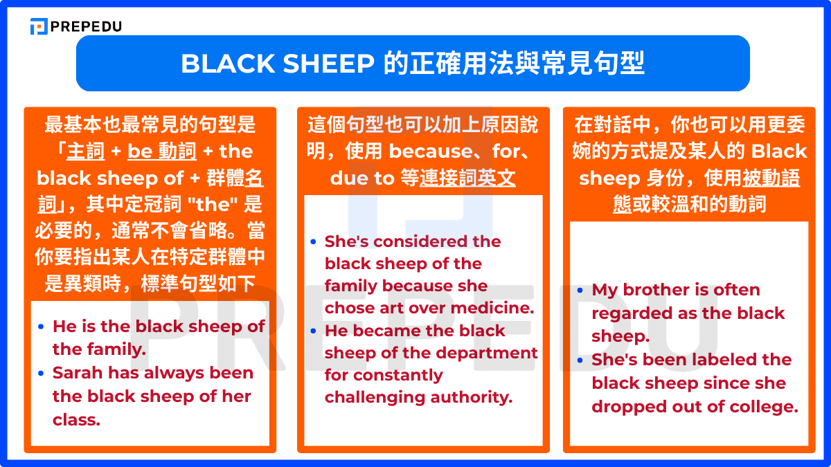 Black sheep 的正確用法與常見句型