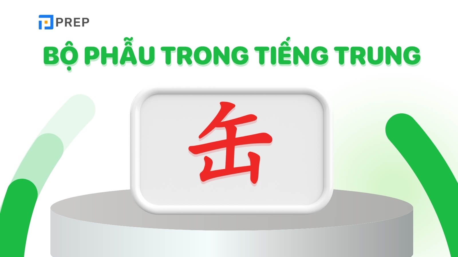 Bộ Phẫu trong tiếng Trung là gì?