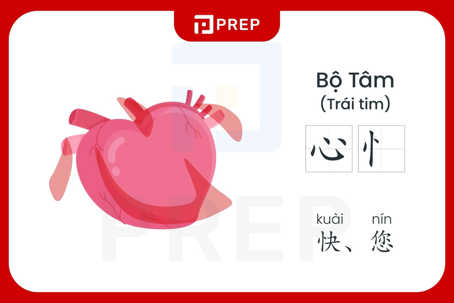 Cấu tạo bộ Tâm trong tiếng Trung