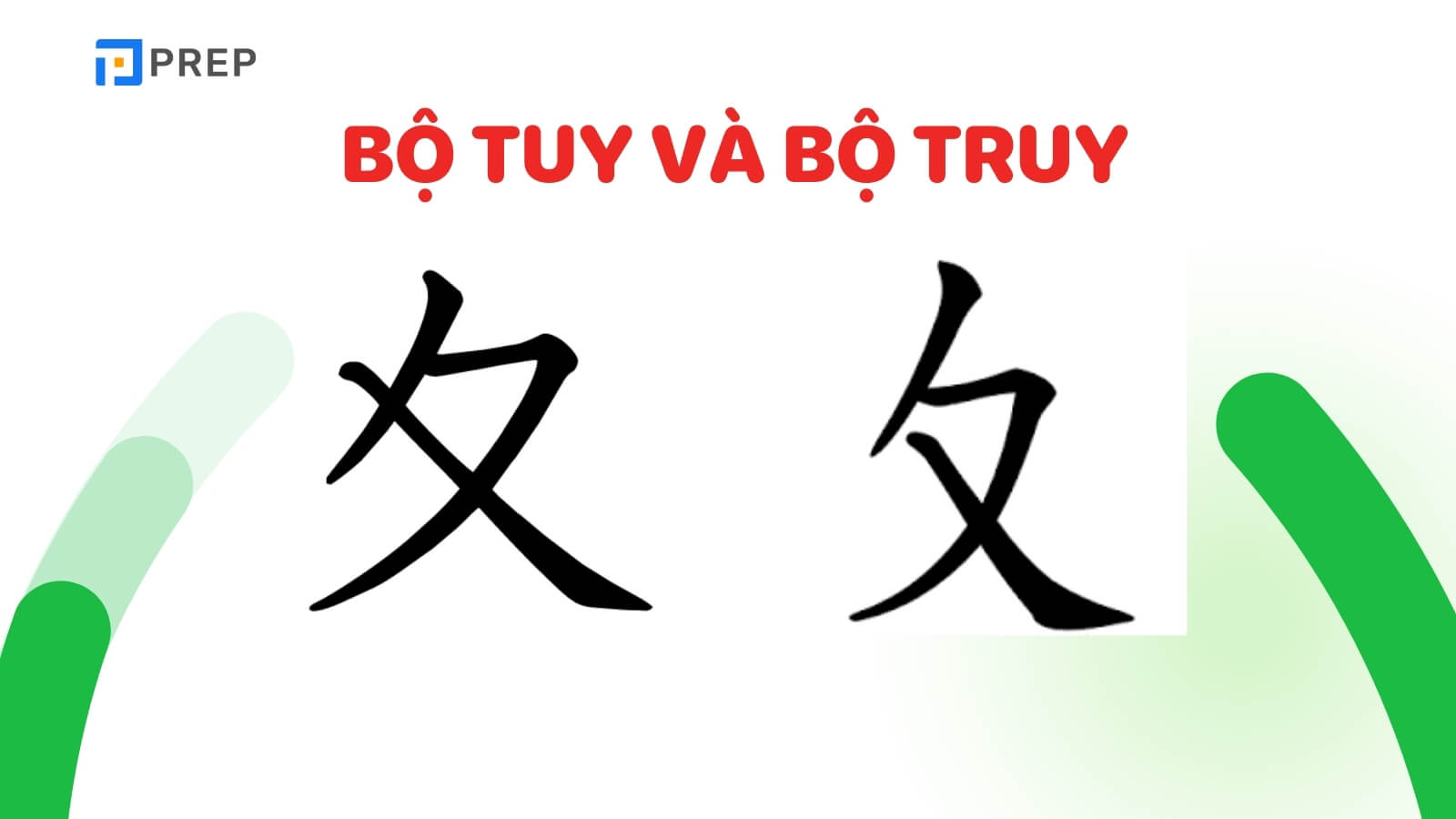 bo-tuy-va-bo-truy.jpg