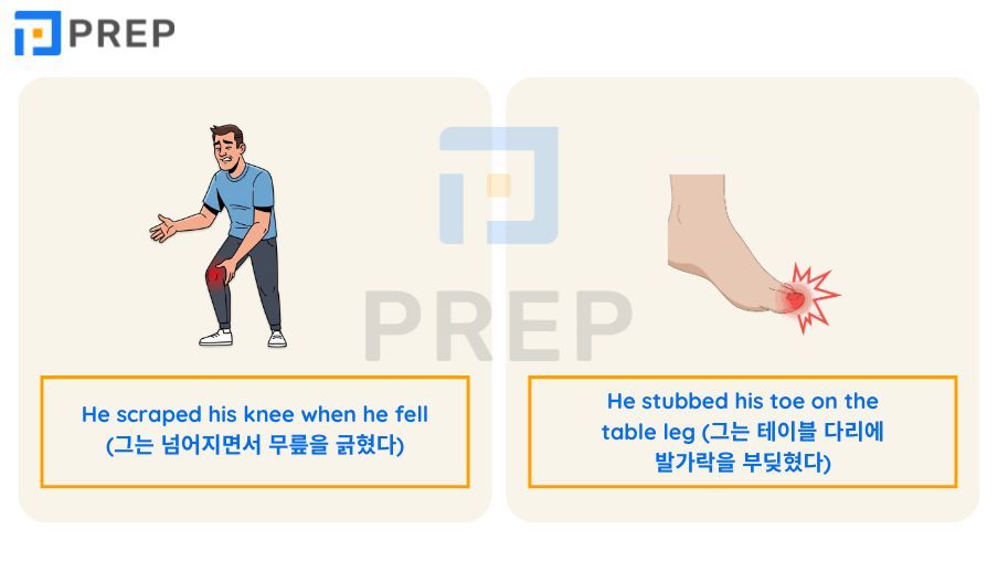 신체 구조와 몸 영어 로 표현하는 상용 단어 100여 개의 심층 학습