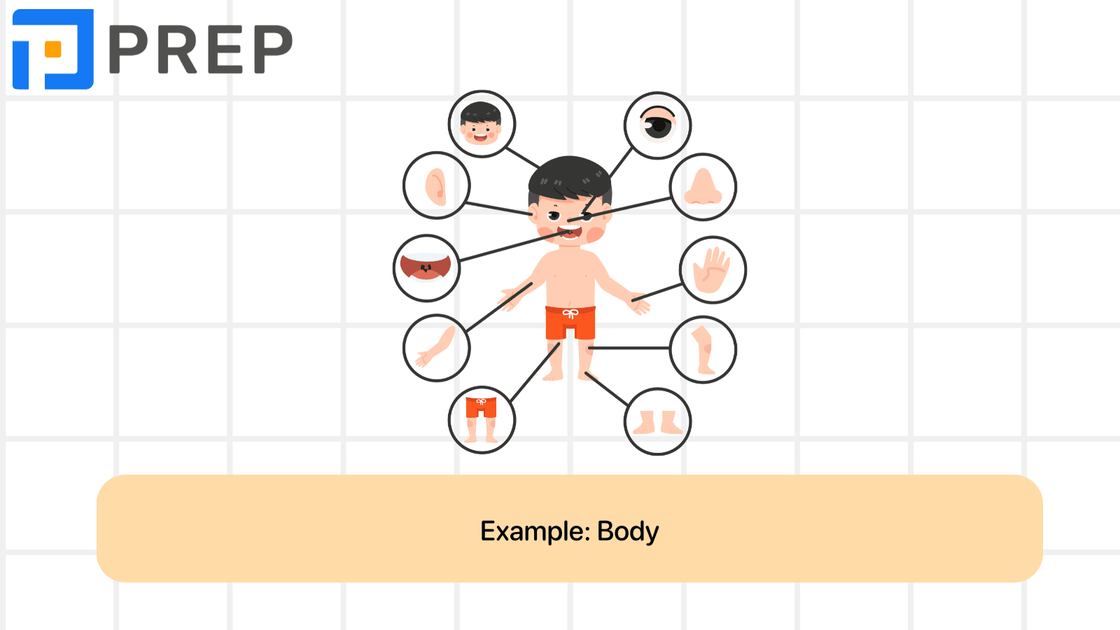 B1 vocabulary: Body & Health