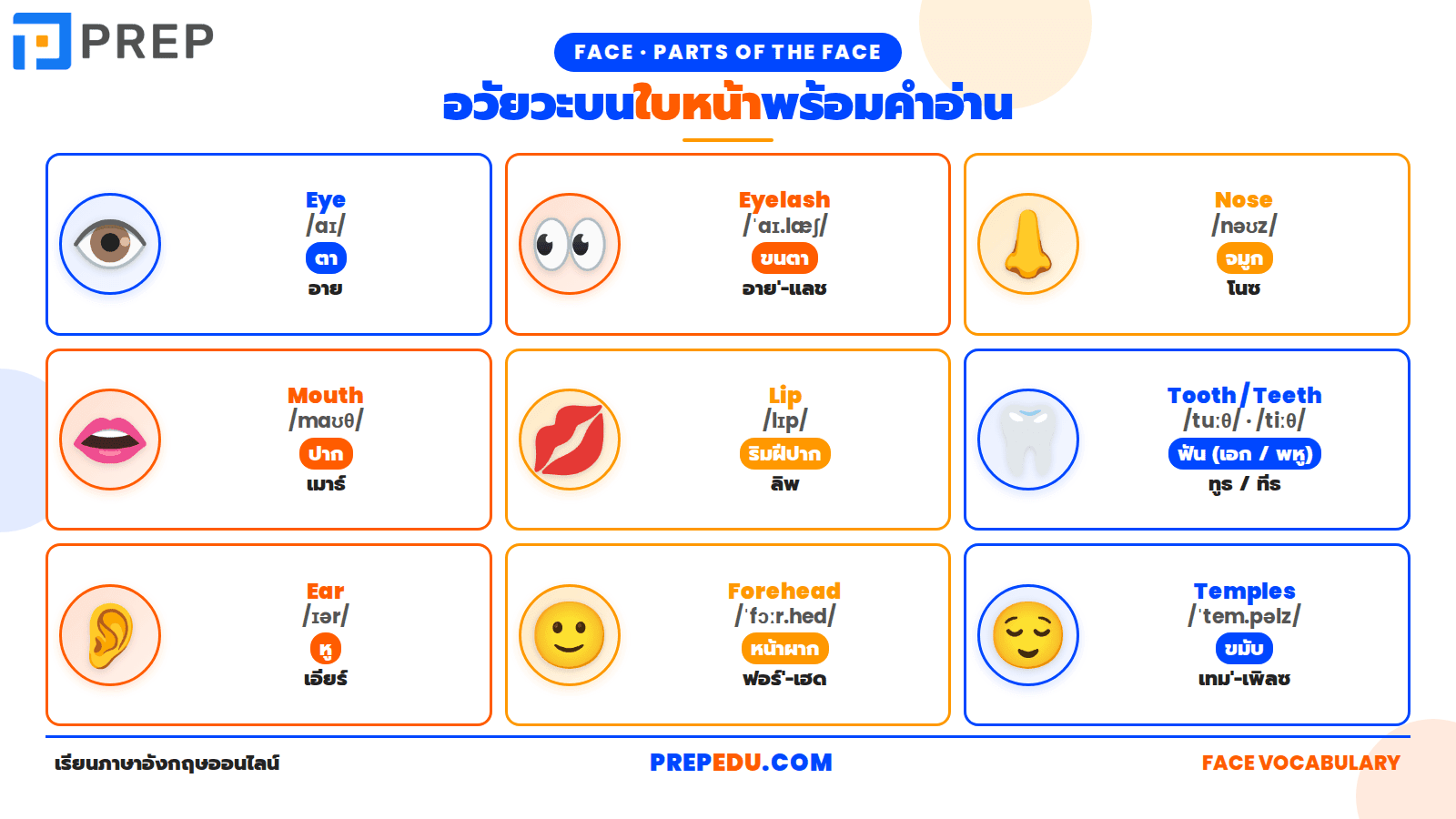 body-parts-english-vocabulary-1.png