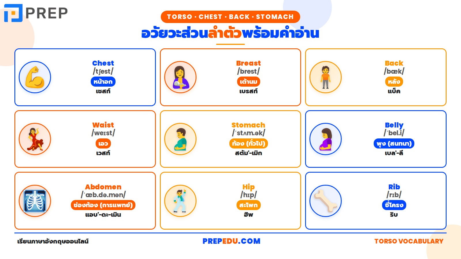 body-parts-english-vocabulary-2.png