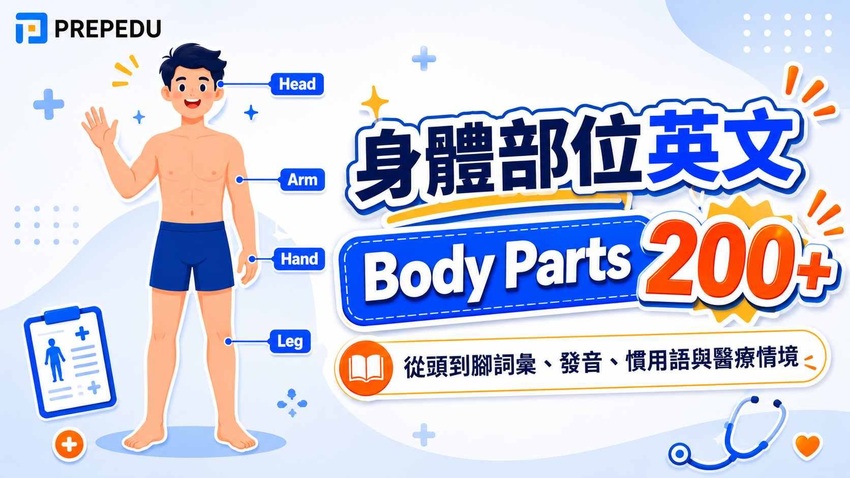 身體部位英文完整指南