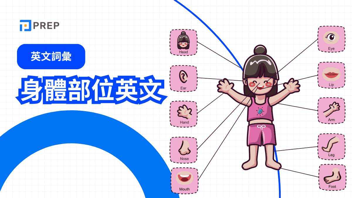 身體部位英文