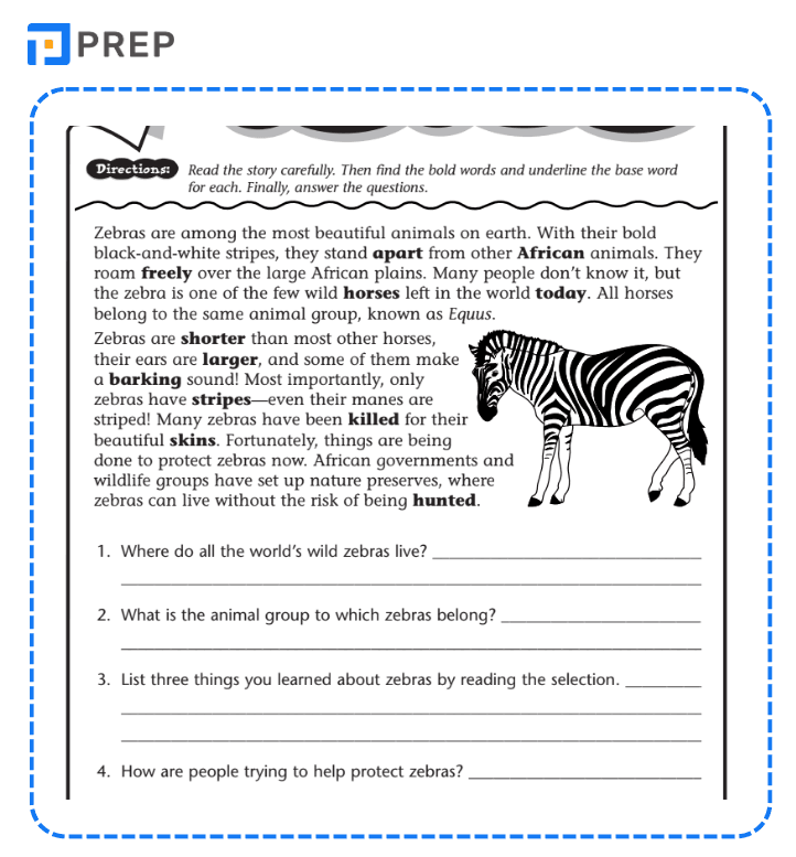 Cách đọc hiểu văn bản trong sách Reading Comprehension Skills and Strategies hiệu quả