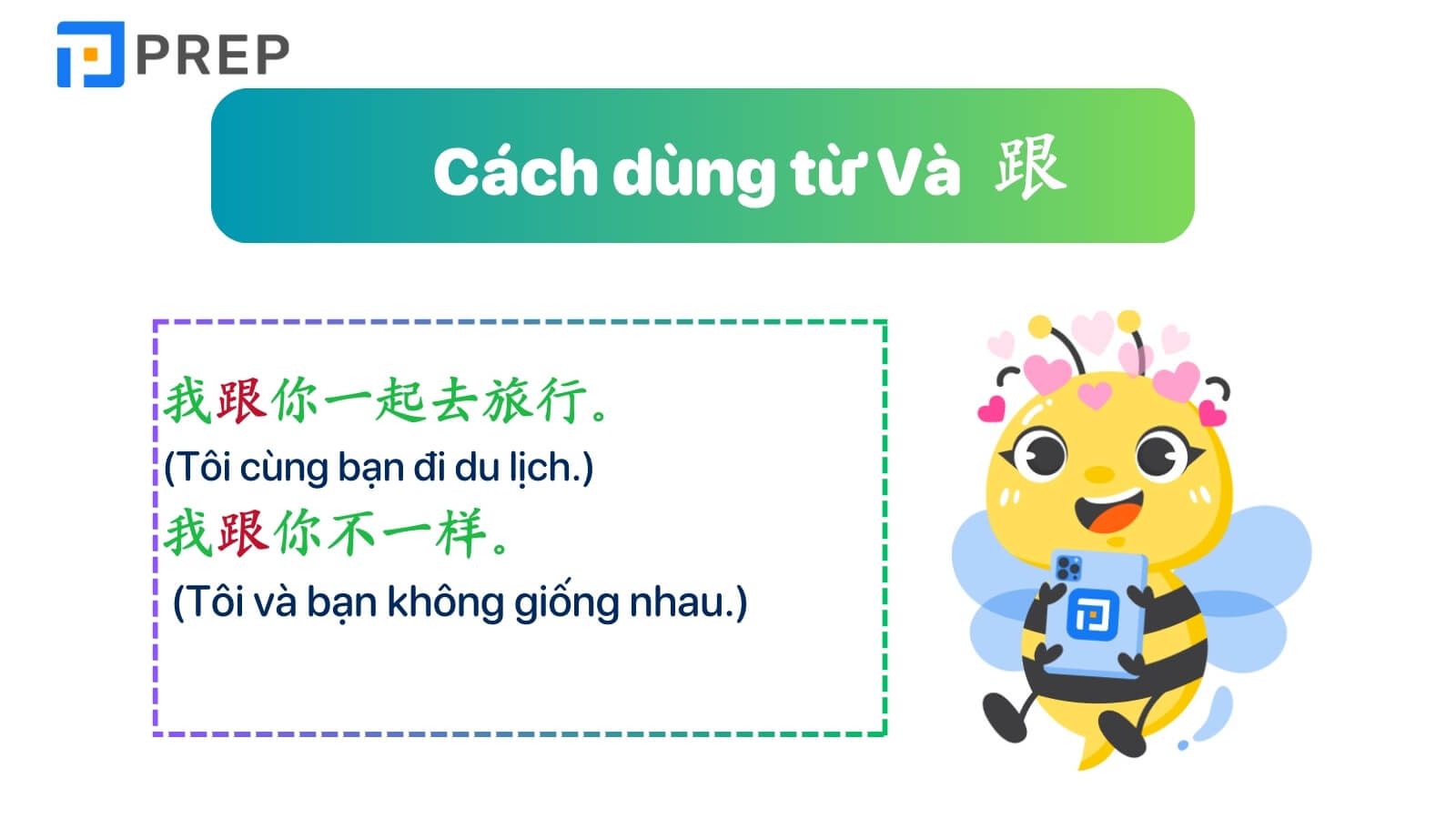 cach-dung-gen.jpg