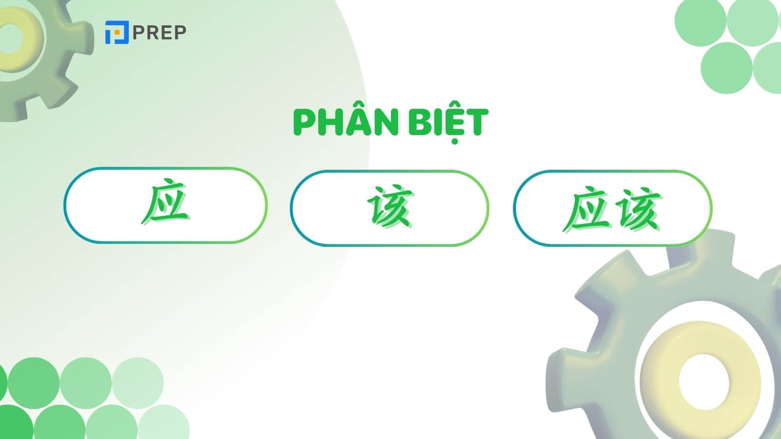 Phân biệt 应, 该 và 应该 trong tiếng Trung