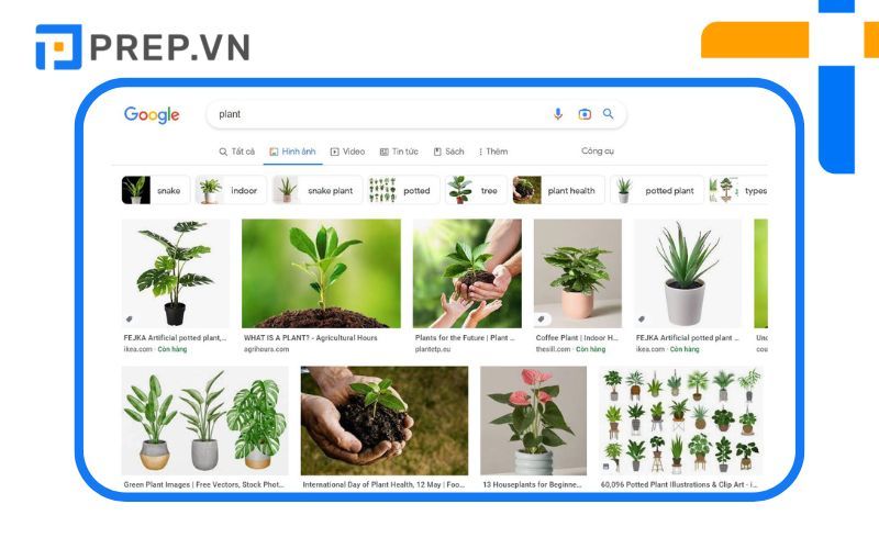 cách học tiếng anh cho người mất gốc, tự học tiếng anh cho người mất gốc