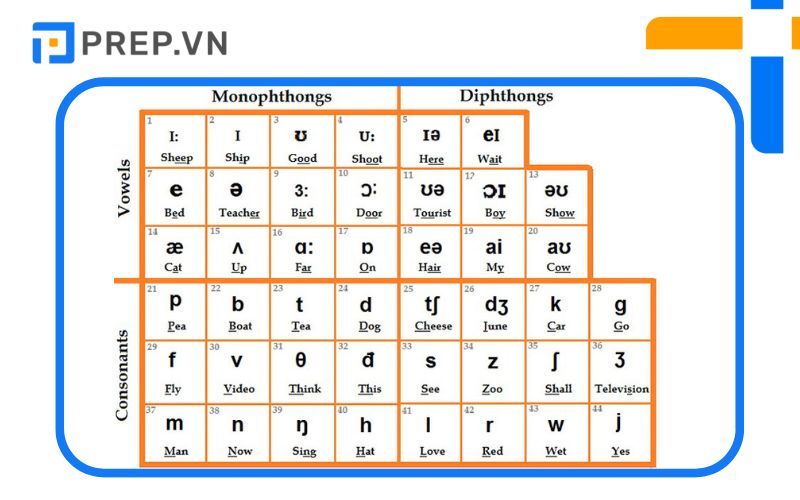 cách học tiếng anh cho người mất gốc, tự học tiếng anh cho người mất gốc