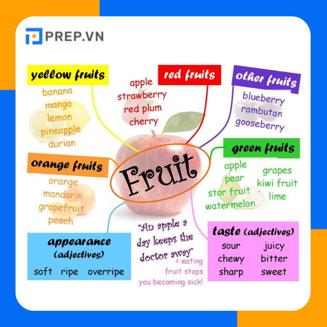 Phương pháp học từ vựng Reading IELTS hiệu quả