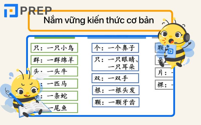 Muốn làm bài tập chính xác cần nắm vững các kiến thức cơ bản