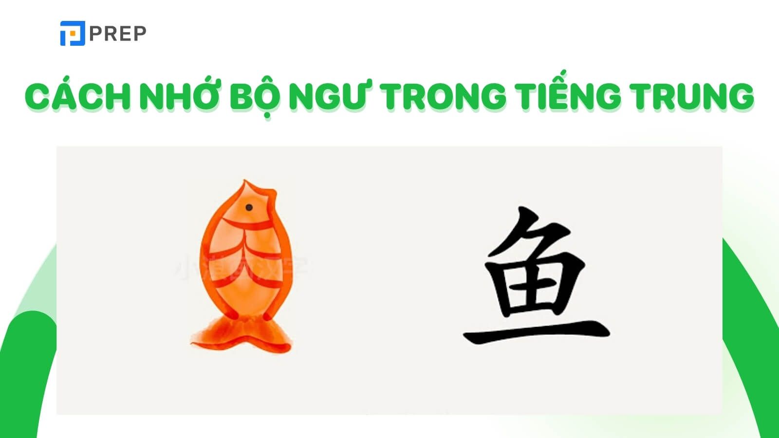 cach-nho-bo-ngu-trong-tieng-trung.jpg