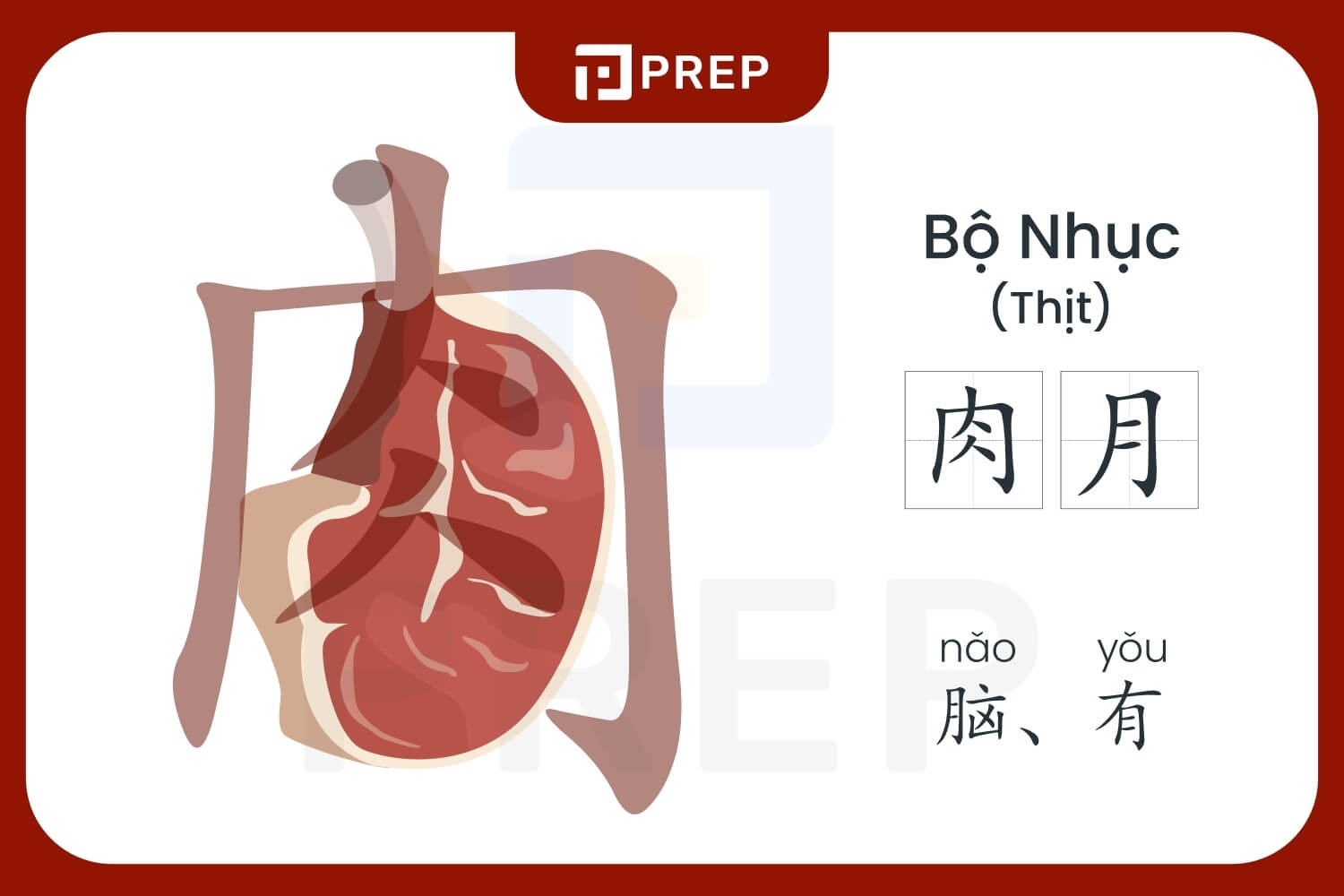 cach-nho-bo-nhuc-trong-tieng-trung.jpg