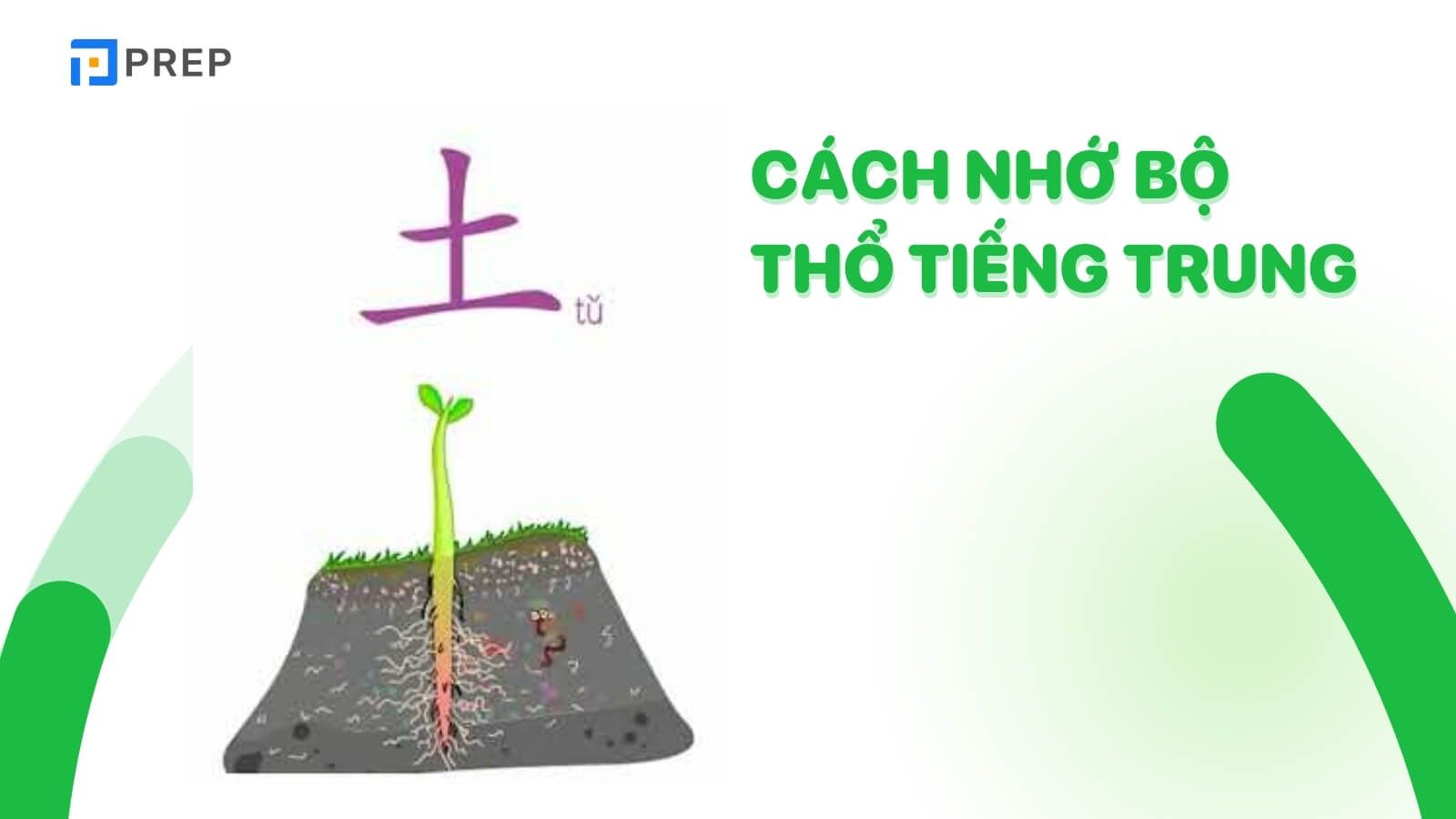 cach-nho-bo-tho-tieng-trung.jpg