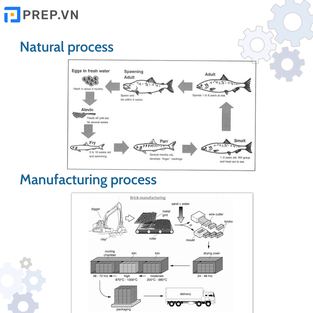 Ví dụ về Process
