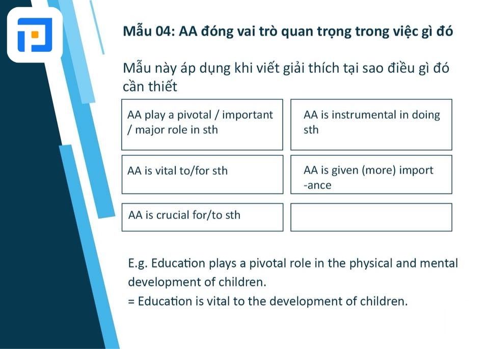 AA đóng vai trò quan trọng trong việc gì đó