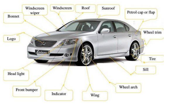 Học từ vựng thông qua sơ đồ tư duy