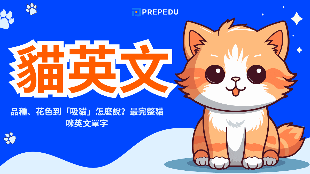 貓英文