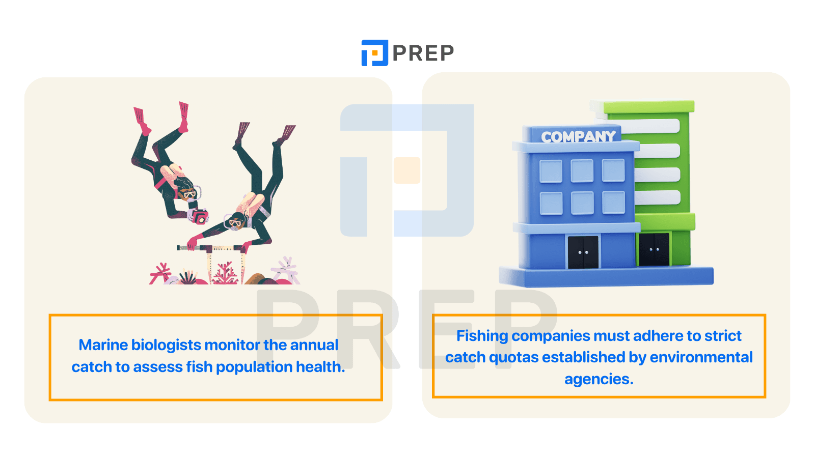 catch-professional-fishing-terms.png