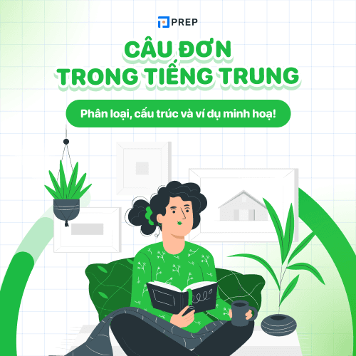 Câu đơn trong tiếng Trung là gì?
