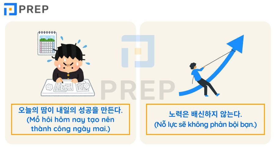 những câu nói hay về cuộc sống bằng tiếng Hàn