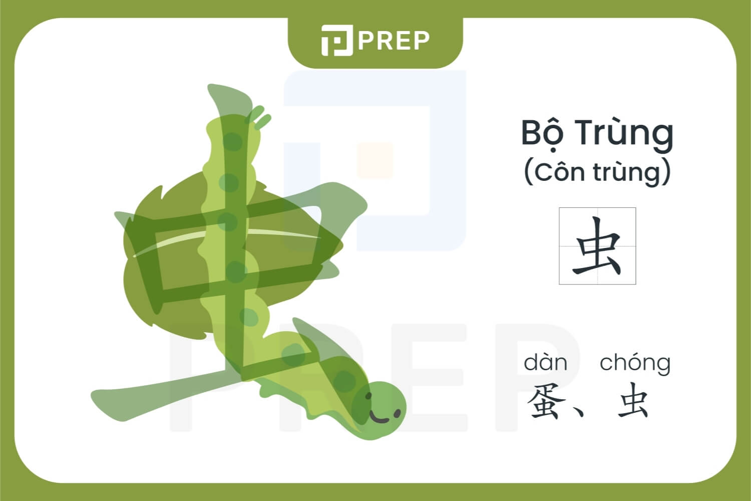 cau-tao-bo-trung-trong-tieng-trung.jpg