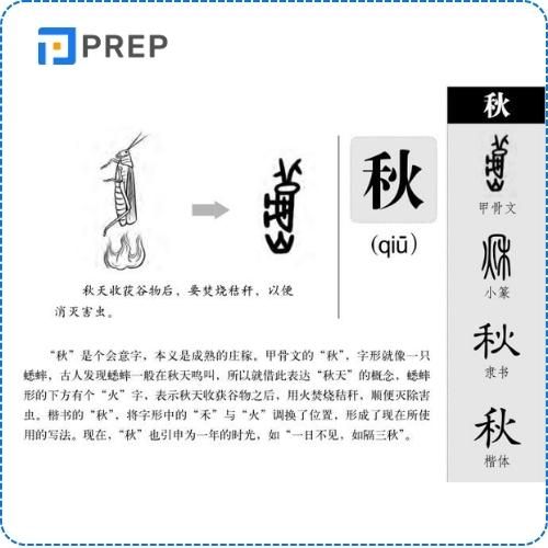 Phân tích cấu tạo chữ Thu trong tiếng Hán