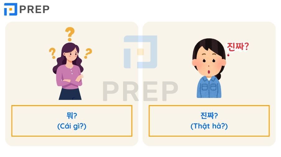 những câu tiếng Hàn trong phim