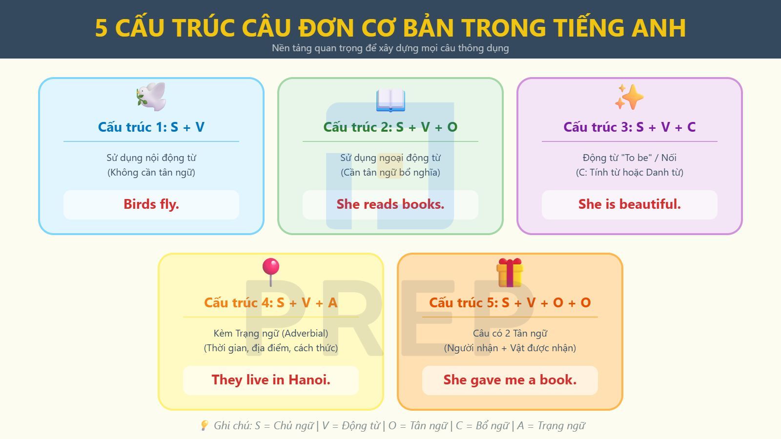 cau-truc-cau-don.jpg