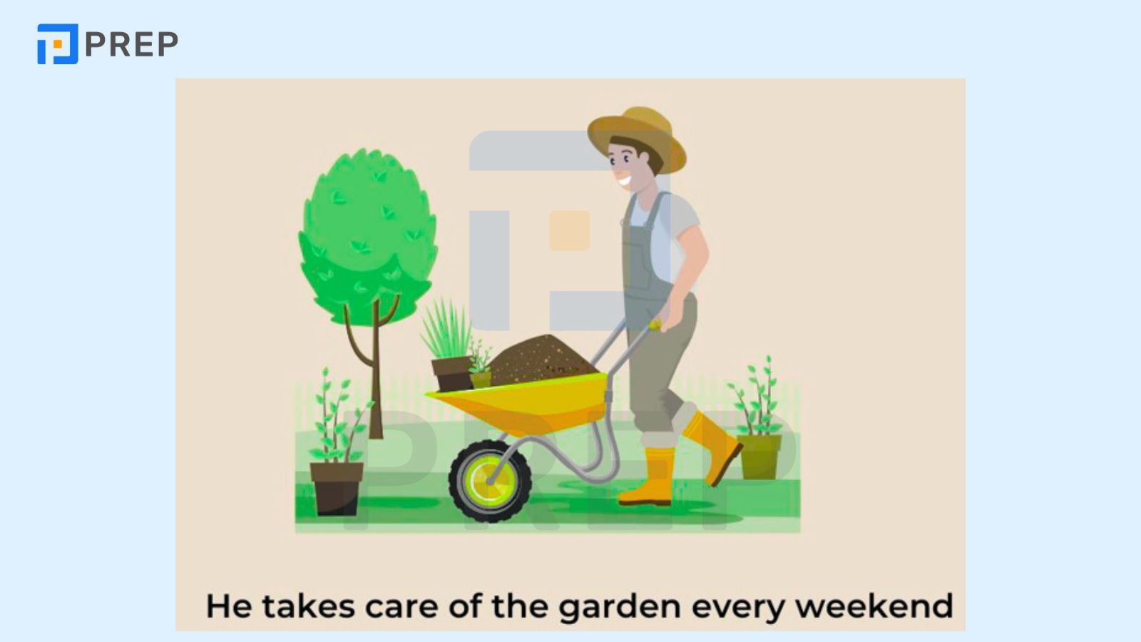 Cấu trúc câu mô tả hoạt động làm việc nhà (Doing household chores)