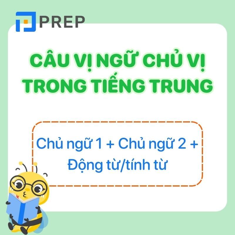 Cấu trúc câu vị ngữ chủ vị trong tiếng Trung