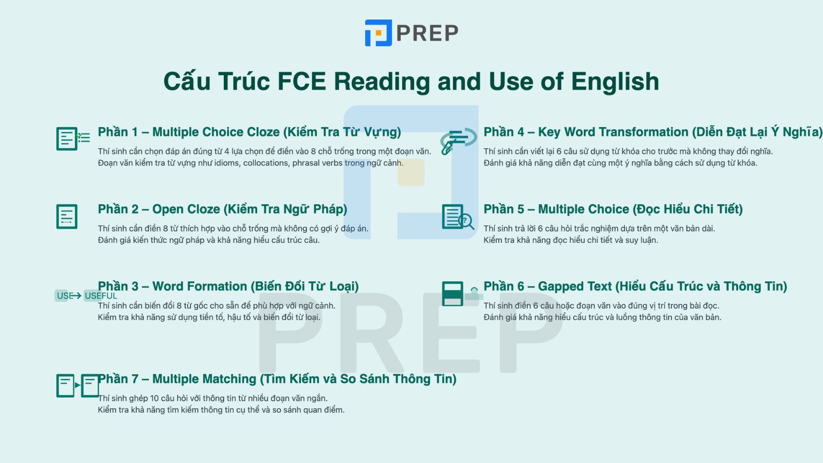 cau-truc-fce.jpg