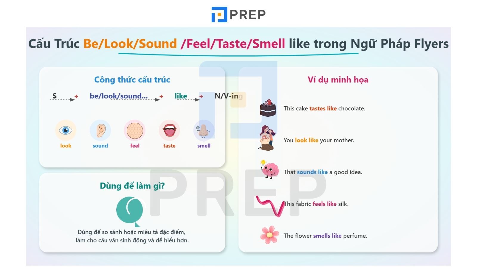 cau-truc-giong-nhu.jpg