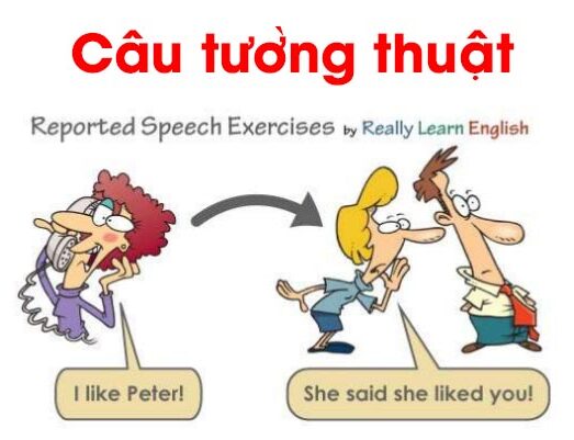 Định nghĩa về câu tường thuật trong tiếng Anh