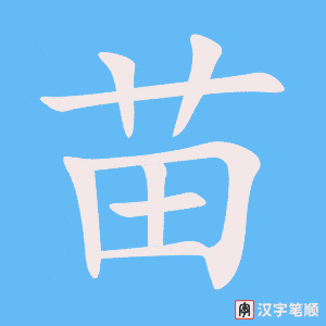 Cách viết chữ 苗