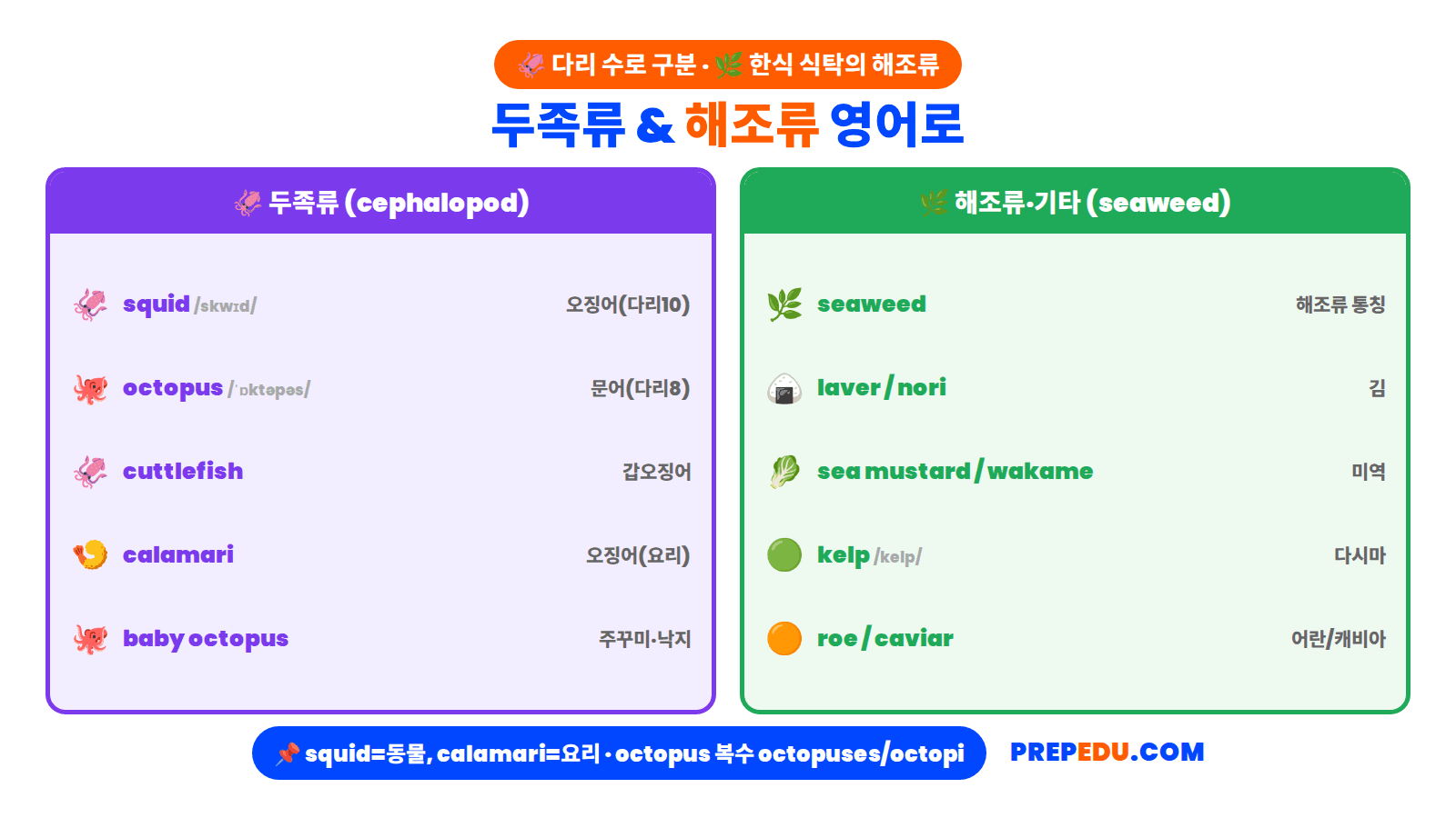 cephalopods-and-seaweed.png