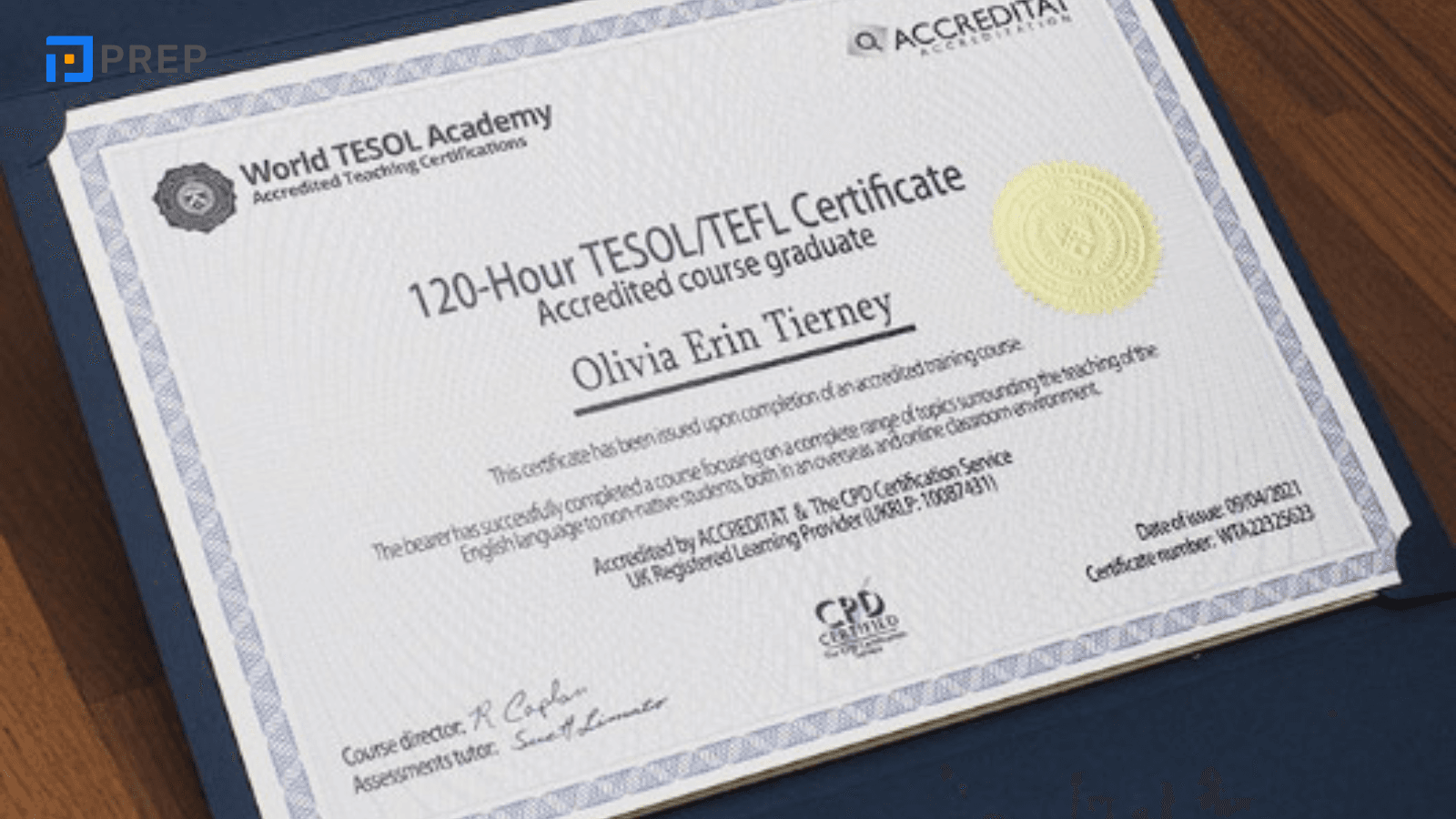 chi-phi-thi-tesol.png