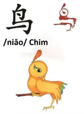 Chữ 鸟