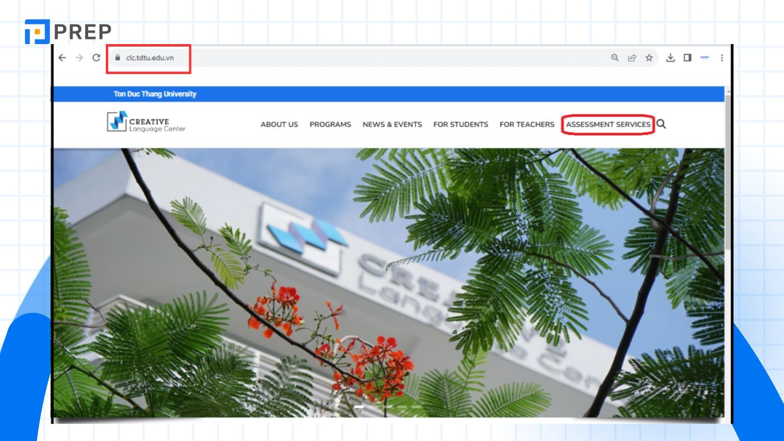 chon-assessment-services.jpg