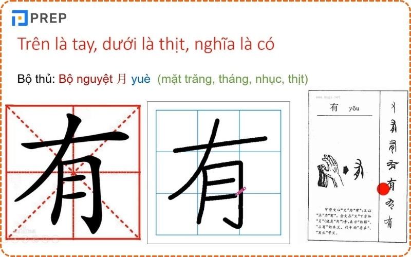 Chữ Hữu trong tiếng Hán友