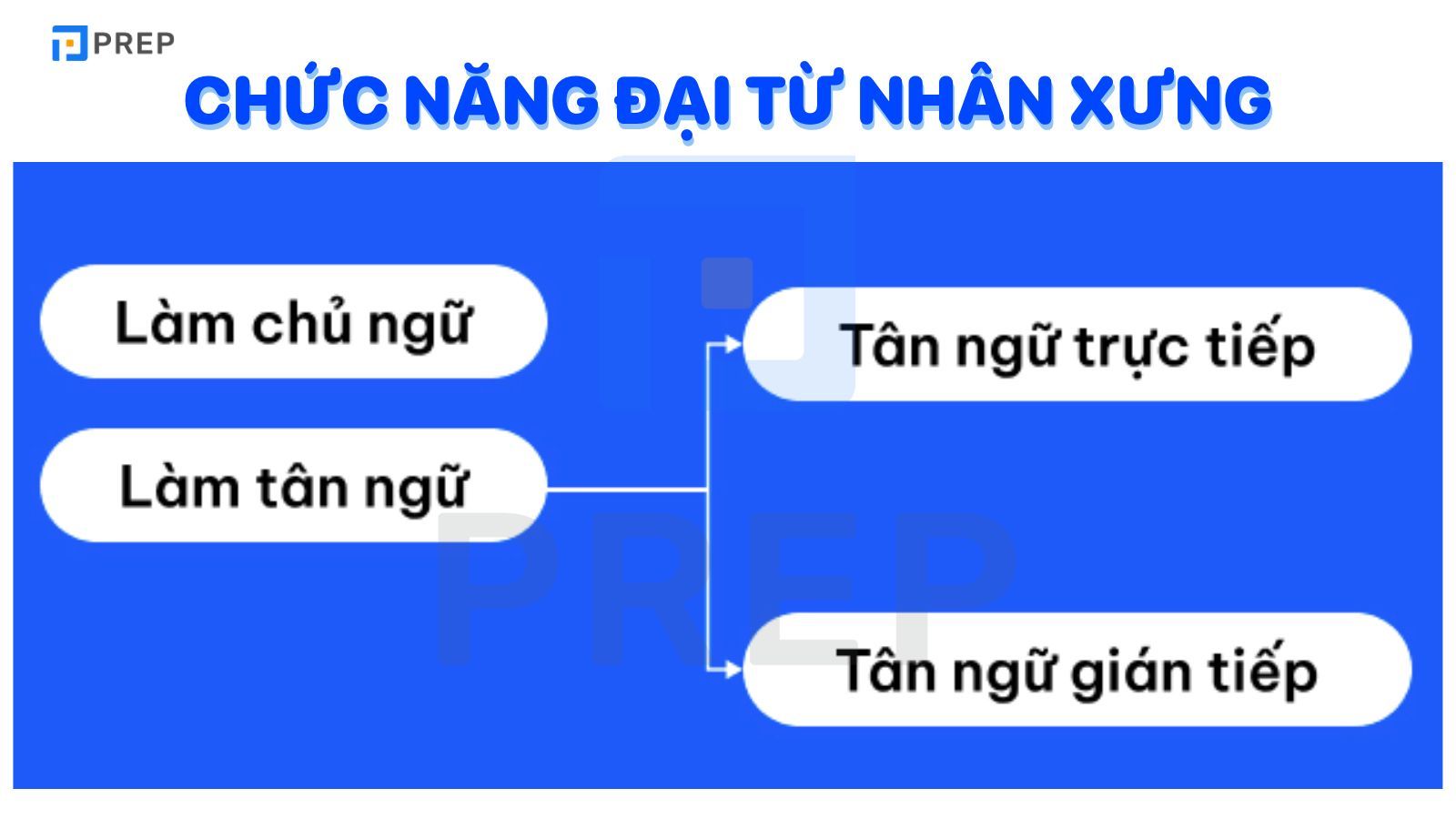 chức năng đại từ nhân xưng