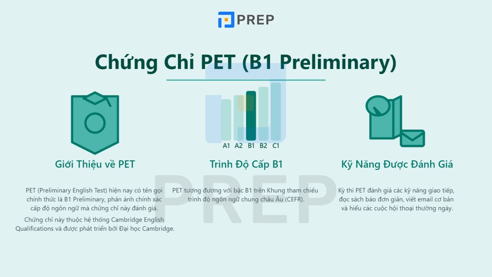 chung-chi-pet-la-gi.jpg
