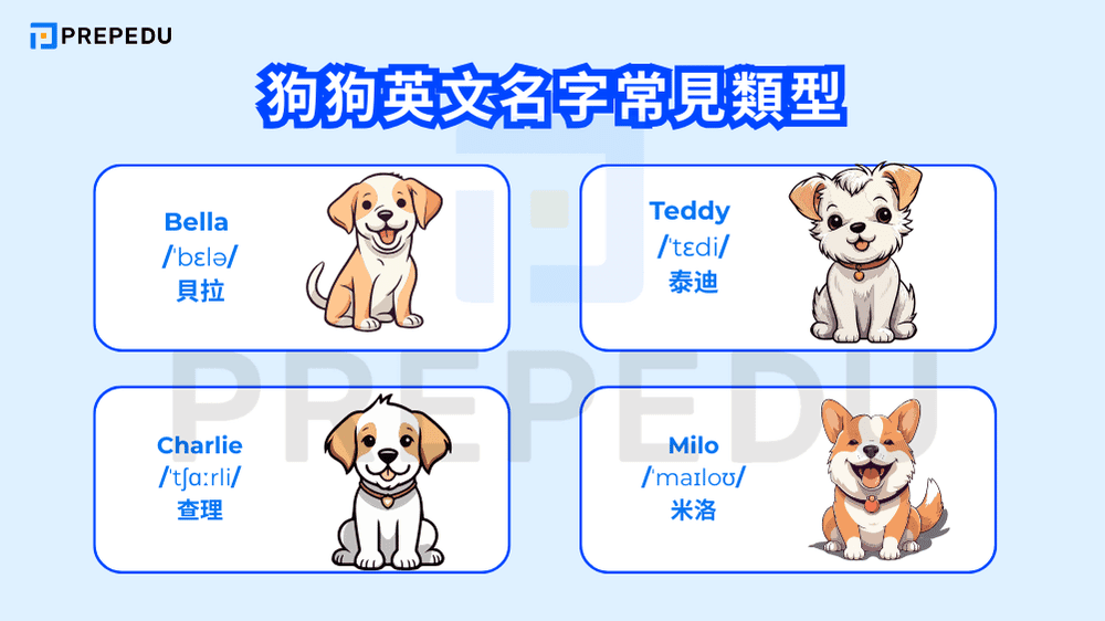 狗狗英文名字常見類型