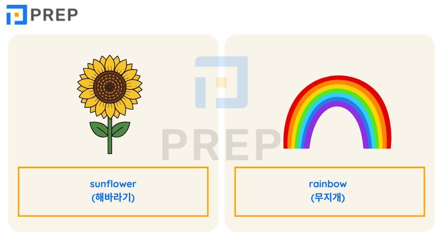 영어 복합 명사 완벽 가이드: 형태·복수형 규칙·토익 빈출 단어 총정리
