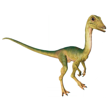 compsognathus.png