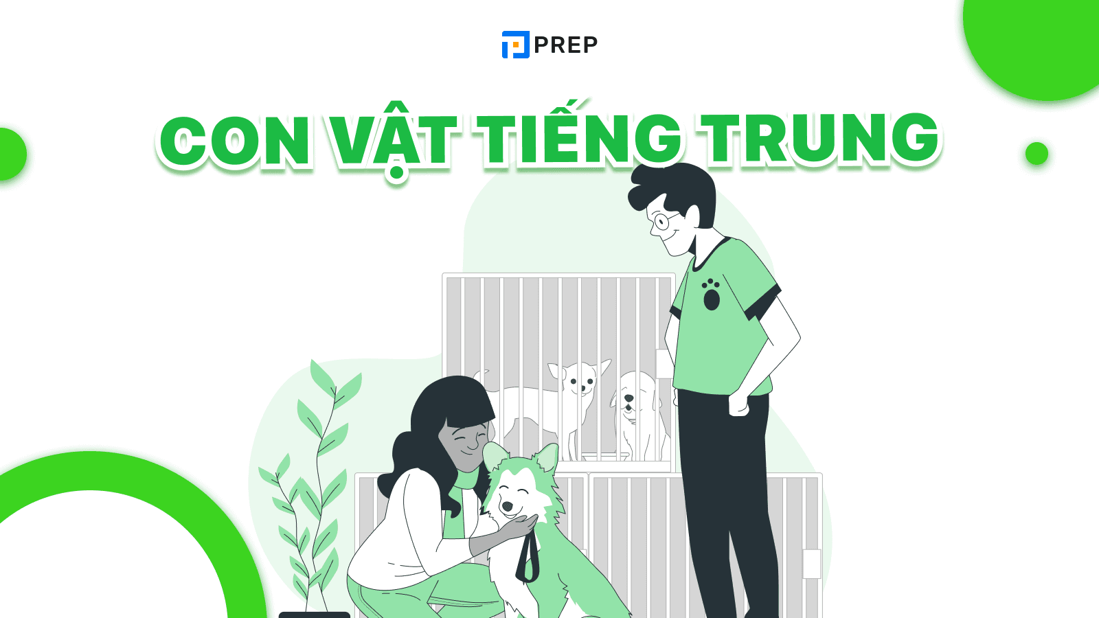 Con vật tiếng Trung
