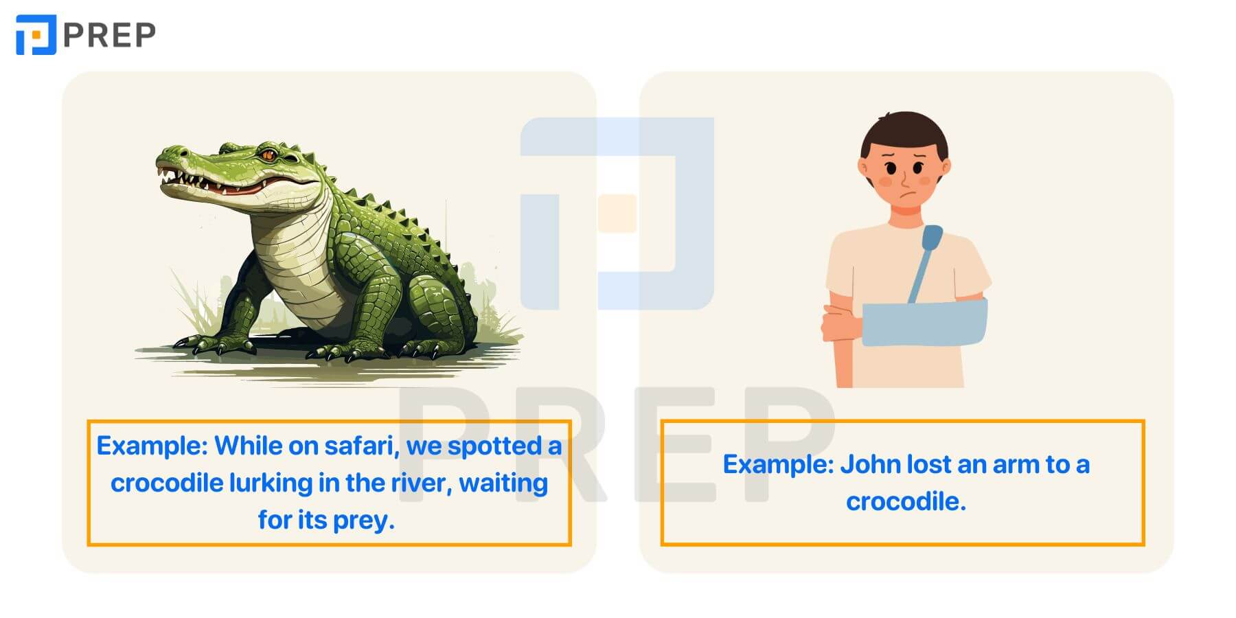 Crocodile là gì?